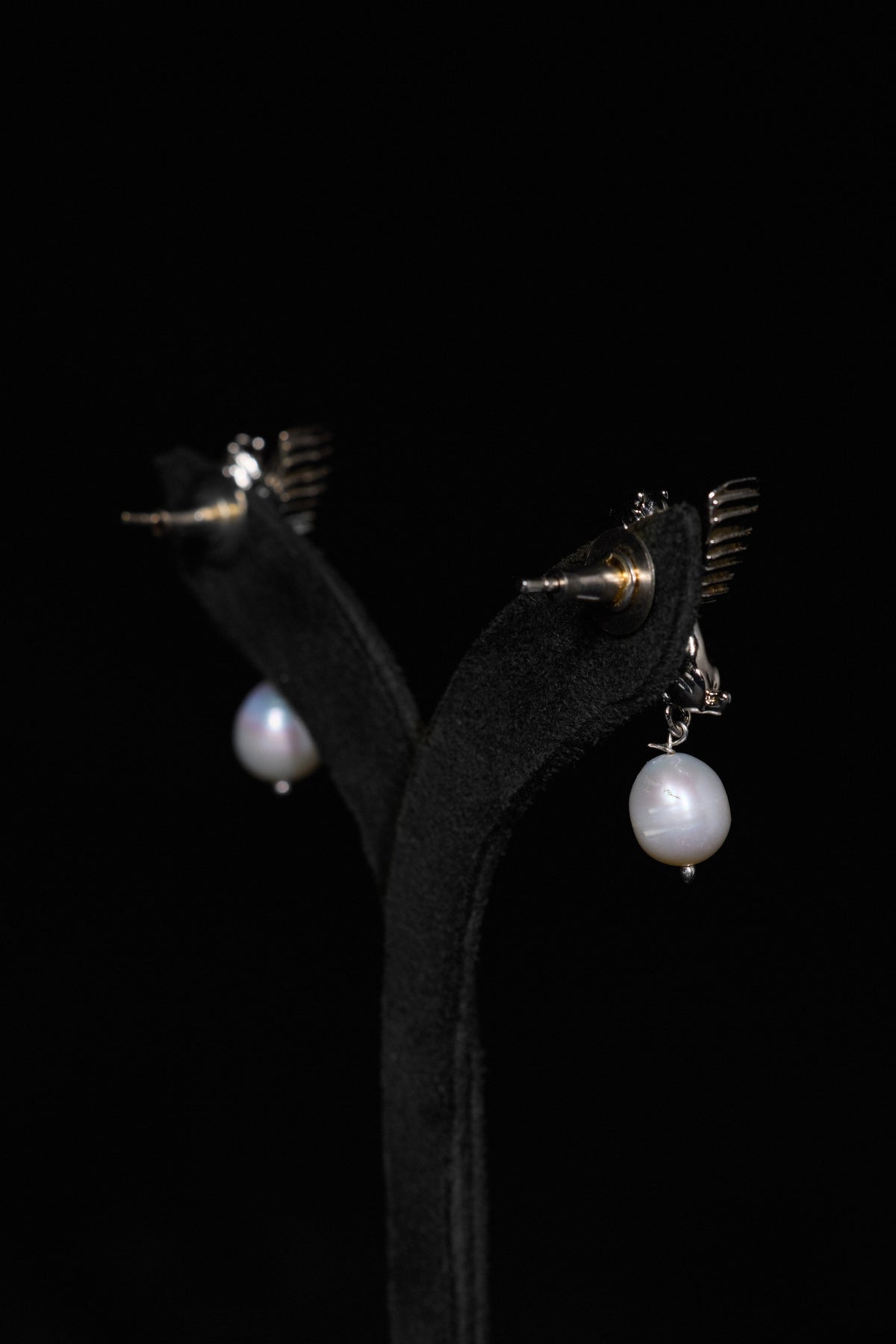The Classic Venetian Lion Studs in Starlight