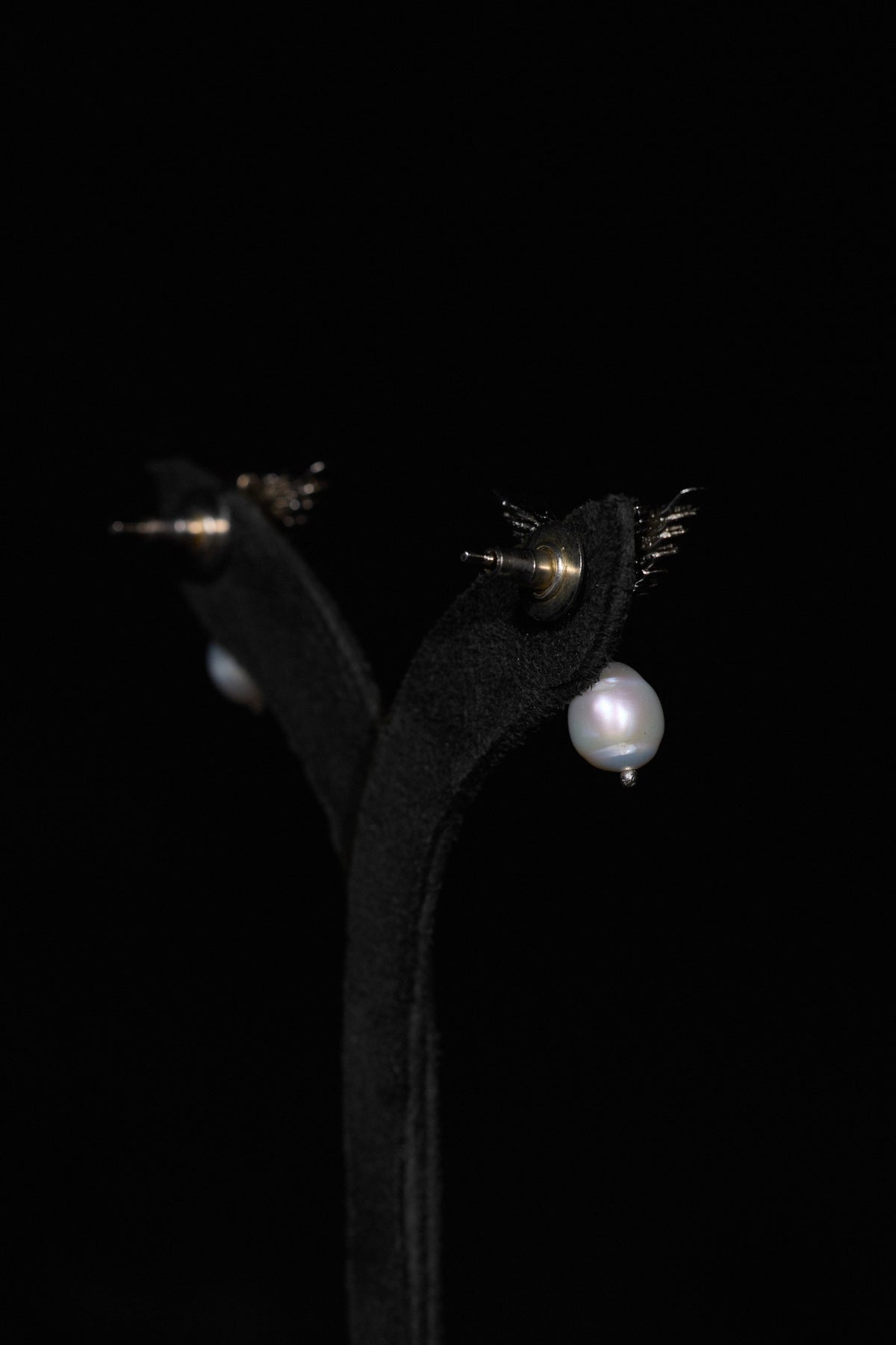 The Classic Matsya Wing Studs in Starlight