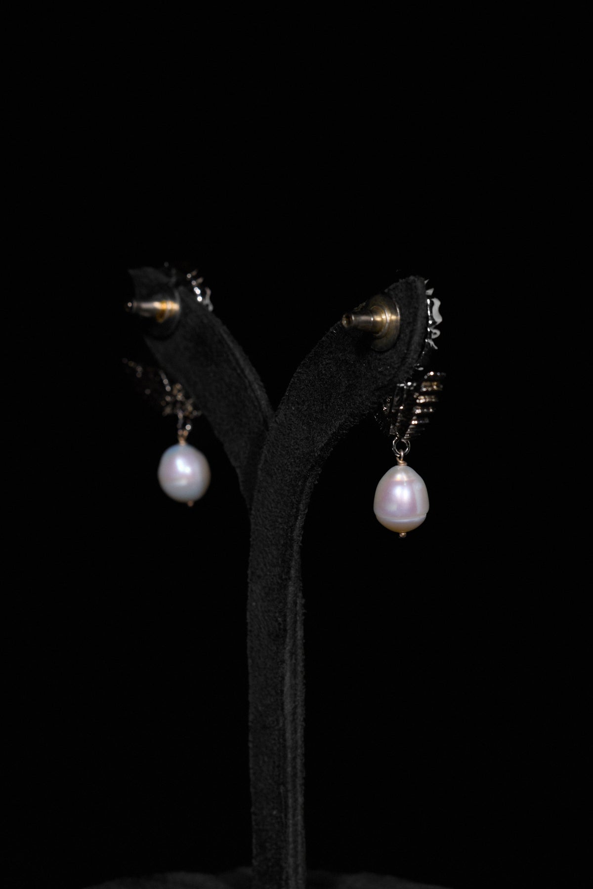 The Flying Tudor Studs in Starlight