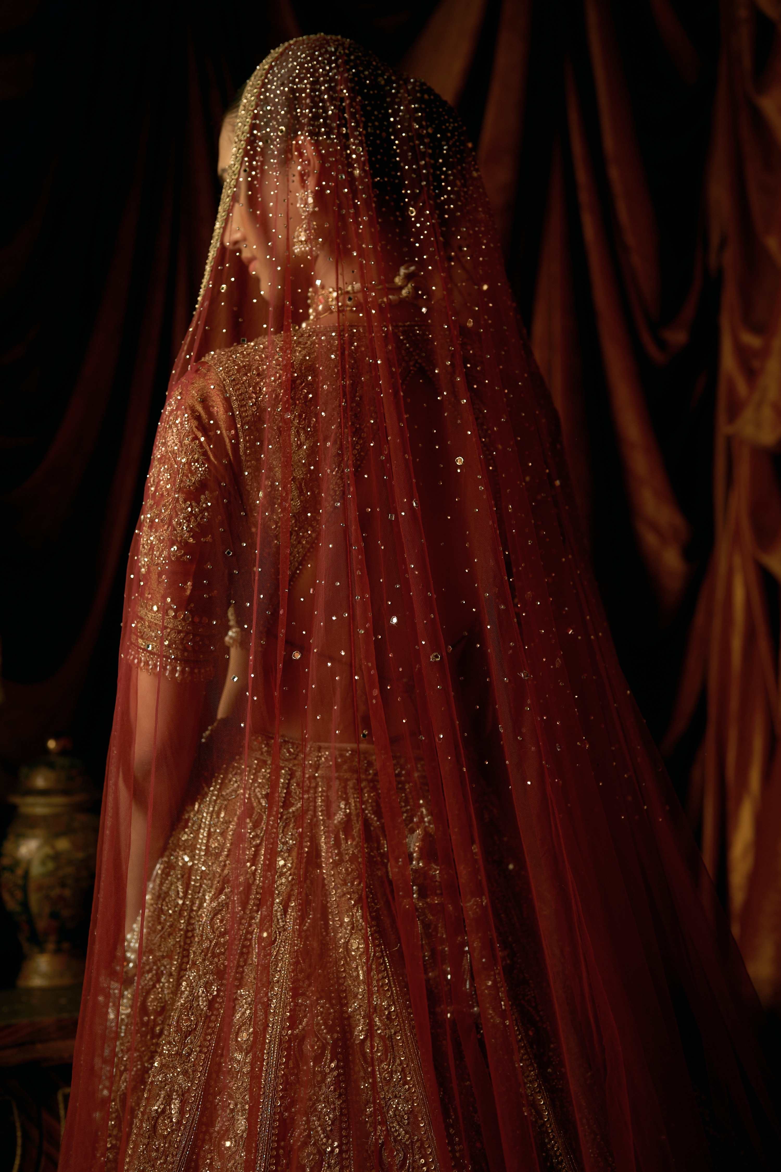 The Vintage Daarhimpriya Lehenga