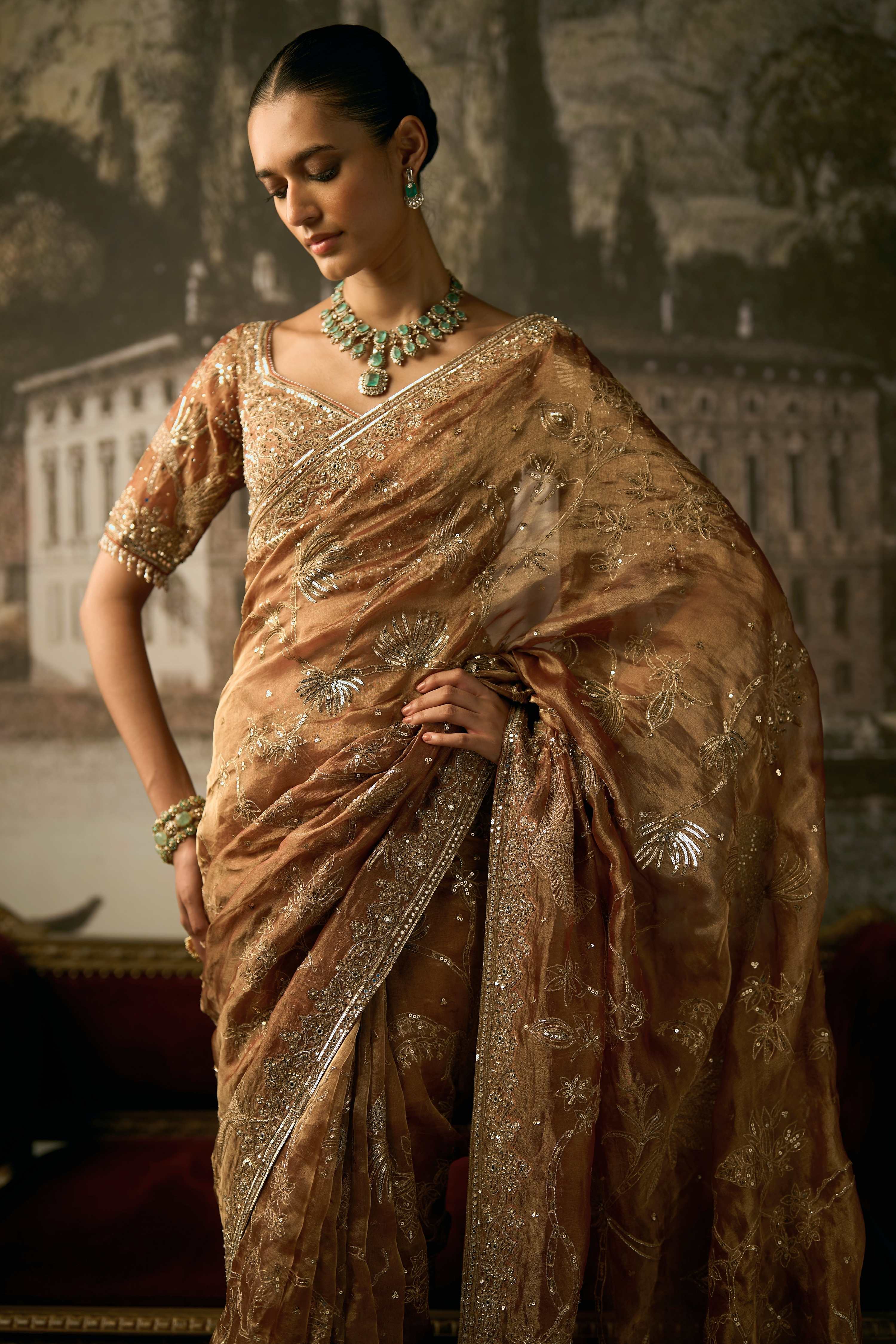 The Royal Savannah Apricot Saree