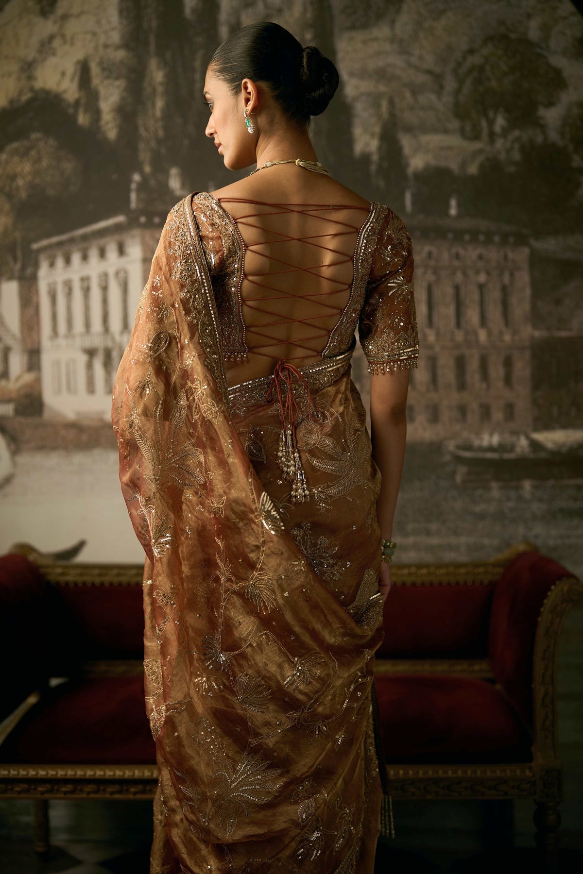 The Royal Savannah Apricot Saree