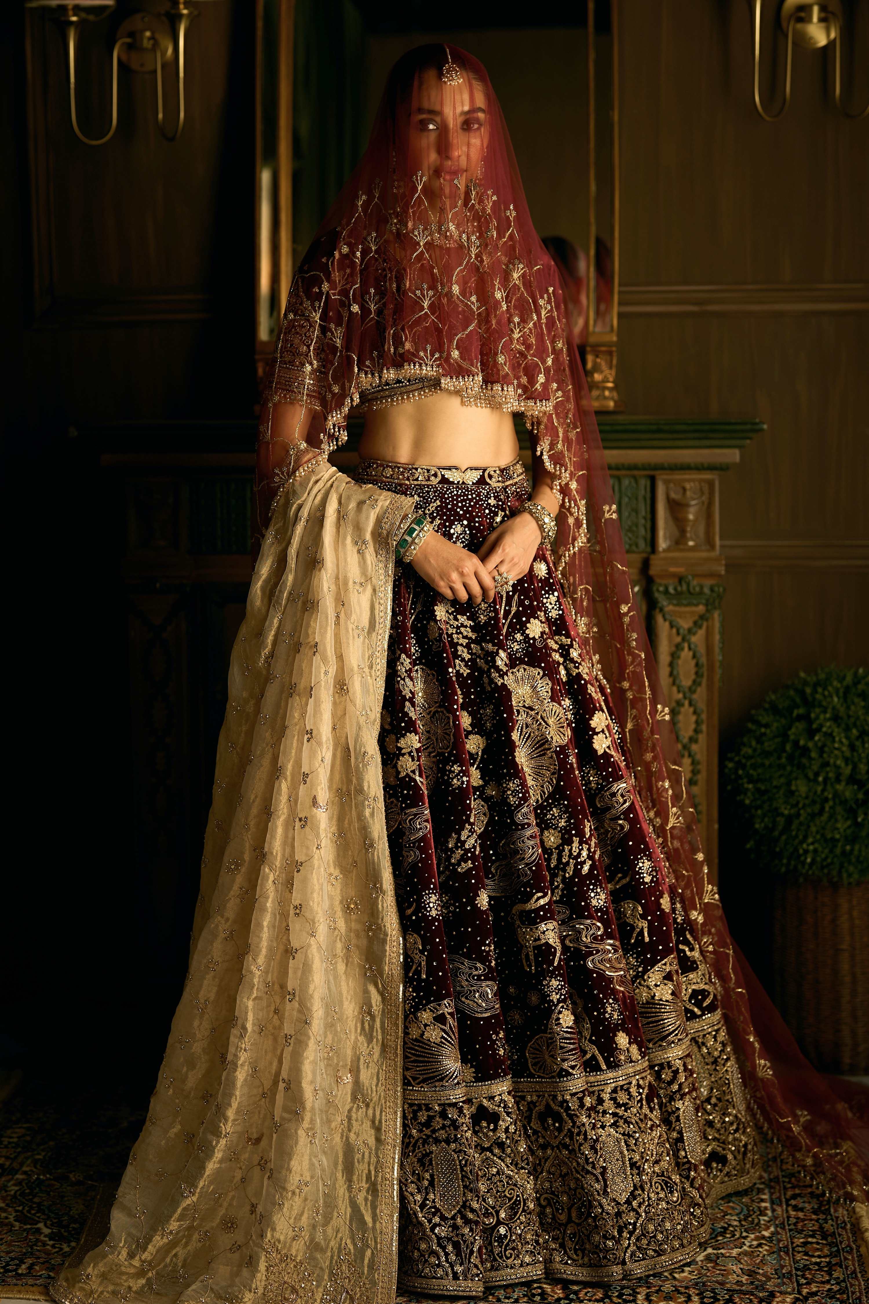 The Wild Savannah Bordeaux Lehenga
