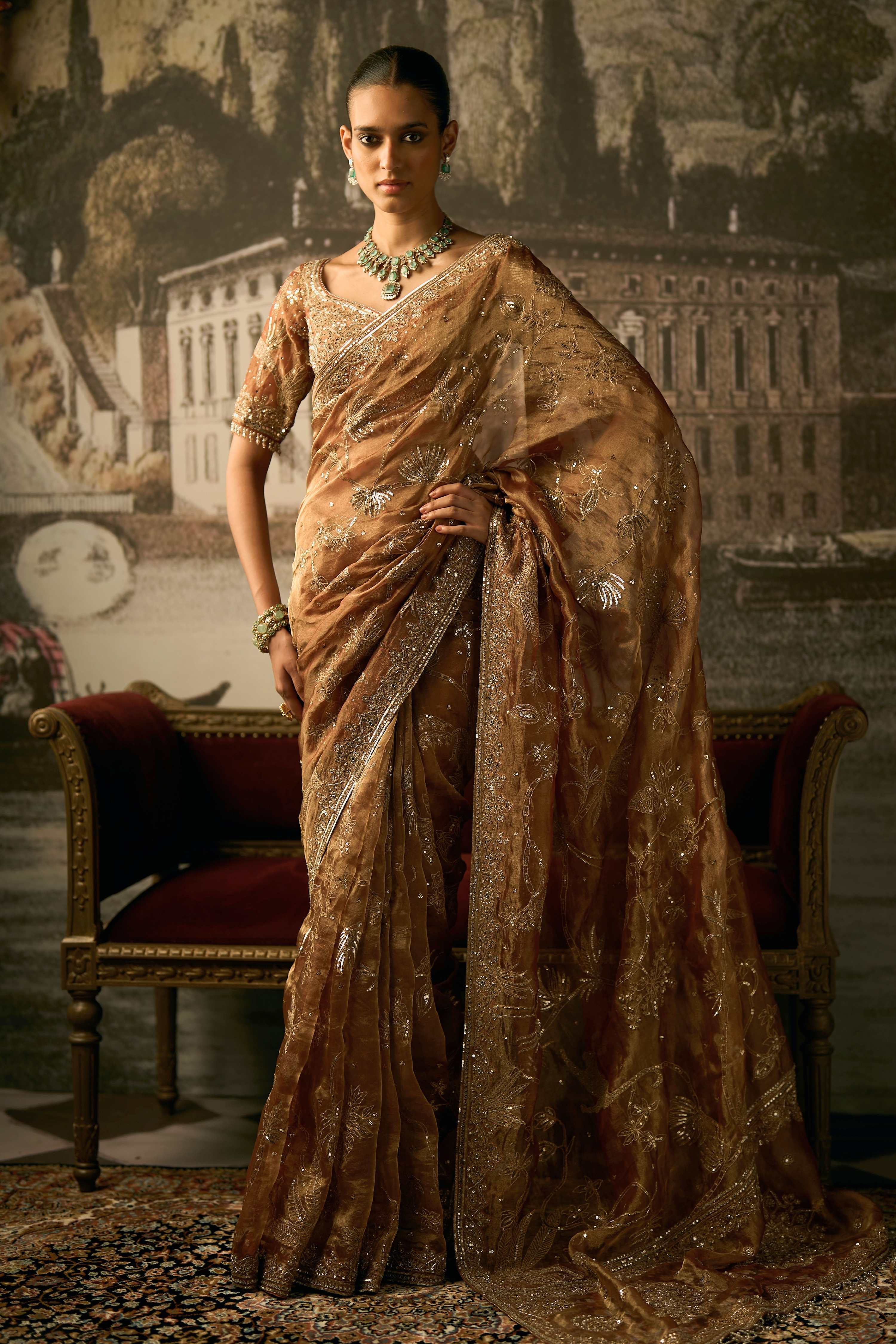The Royal Savannah Apricot Saree